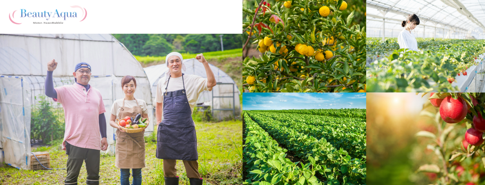 ナノバブル発生_農作物